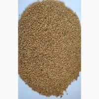 Продам просо жовте органічне Organic Standard (Panicum miliaceum) - 400т., б/г або $