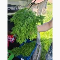 Продам оптом кріп