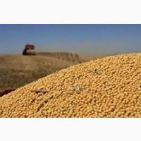 Закупка СОЯ по Україні