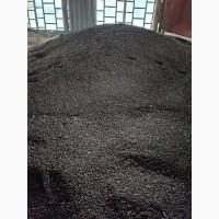 Гречка врожаю 2025 року