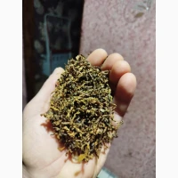 Продам якісний гарний тютюн
