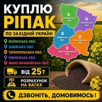 Куплю ріпак по західній Україні. Розрахунок на вагах