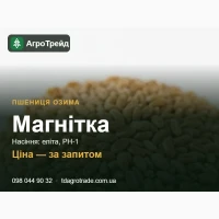 Пшениця Магнітка - насіння озимої пшениці (ФГ «Бор»), еліта, РН-1