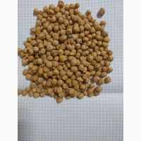 Продам нут продовольственный крупный