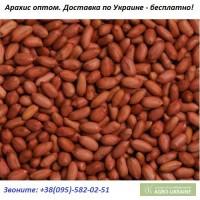 Арахис болд Индия оптом. Доставка по Украине бесплатно