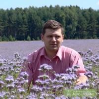Реализуем семена