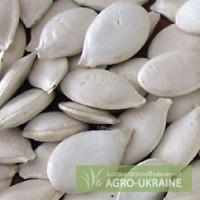 Куплю гарбузове насіння