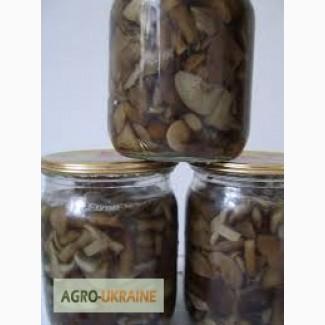 Продам мариновані опеньки недорого