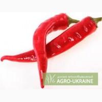 Продам семена овощей недорого