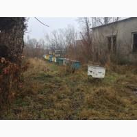 Продам бджолосім`ї з вуликами в кількості 50 штук