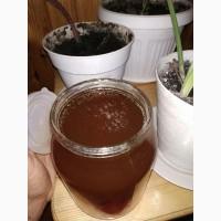 Лісовий мед