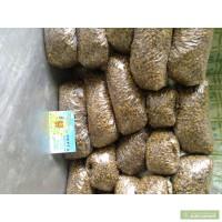 Продам перга очищеная