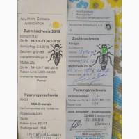Бджоломатки бакфаст, карніка