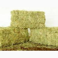 Продам сіно тюковане в Житомирській області