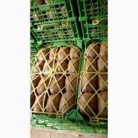 Продам Киви с Ирана