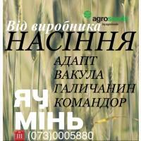 Семена от производителя (Ячмень / элита / 1 репр) Агротрейд - тел. О73 ООО 58 8О / Life