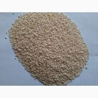 Кунжут (Sesame Seeds)