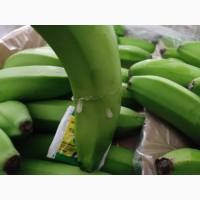 Из Турции оптом продажа Бананов
