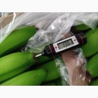 Из Турции оптом продажа Бананов