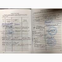 Продається гнідий мерин, 5-ти разовий чемпіон України