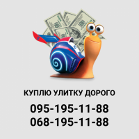 Закупаем улитку у заготовителей и населения оптом