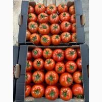 Продам овощи