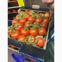 Продам овощи
