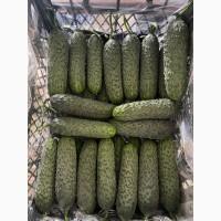 Продам овощи