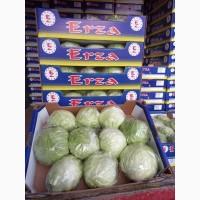 Продам овощи
