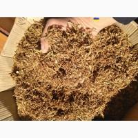 Тютюни домашні ферментовані не прілі сухі