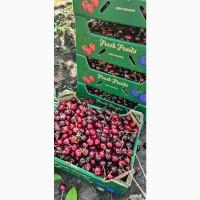 Продам сортову черешню