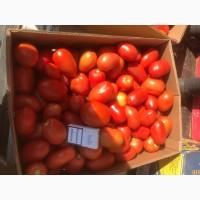 Продам помідор