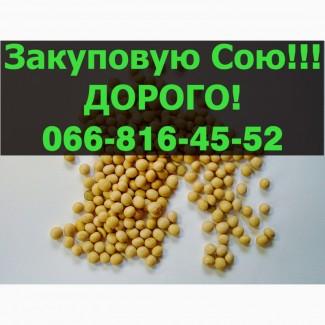 На постійній основі закуповую СОЮ в будь якій кількості