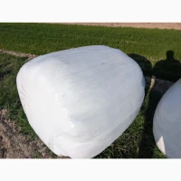 Продам тюки в рулонах, Сінаж суданки подрібнений