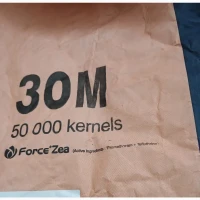 MAS 30M ФАО 310 Маїсадур, насіння кукурудзи