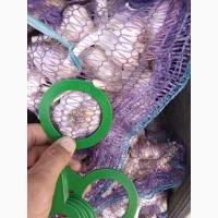 Продам Чеснок сорт Любаша 3т