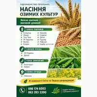 Насіння озимих культур