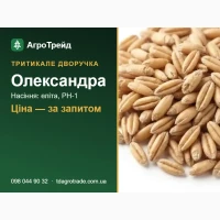 Олександра - тритикале-дворучка ІР ім. Юр#039;єва: посівне насіння еліта, РН-1