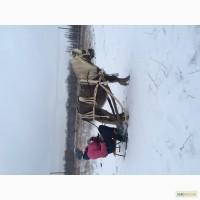 Упряжь на пони