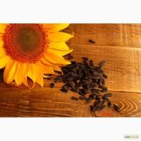 Купую Соняшник розрахунок форма 2