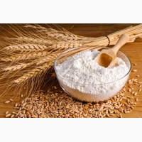 WIDELAND EXPORT продает муку пшеничную на экспорт