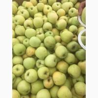 Продаем яблоки товарные и промпереработка врожай 2026 року. НДС