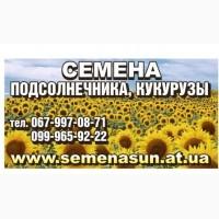 Семена подсолнечника Pioneer Syngenta Euralis LG от 120$