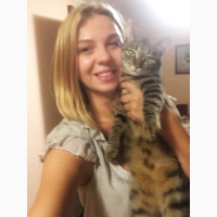 Ветеринар на дом в Харькове
