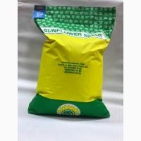 Гібрид соняшника стійкий до посухи - ФЕНІКС OR7+, НОВИНКА на ринку україни