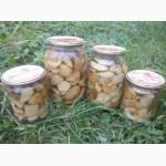 Продам гриби білі мариновані, маслята недорого, оптом
