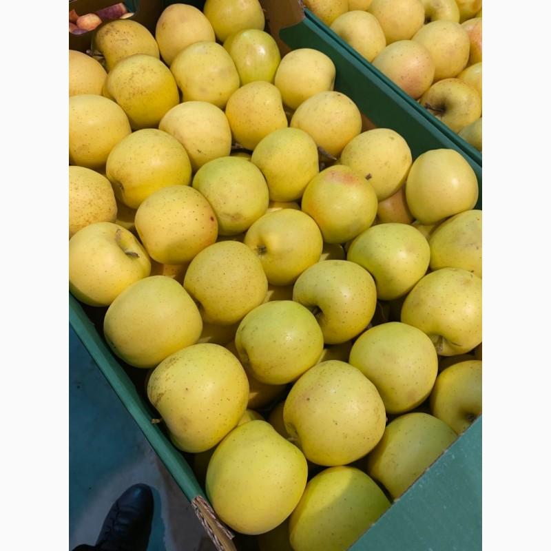 Фото 3. Продам яблоки от произодителя несколько сортов с 20 тонн