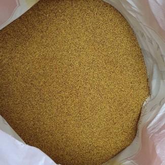 Продаємо насіння Конюшини Білої Декоративної (також з ПДВ)