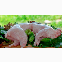 Предлагаю свежее мясо домашнего кролика