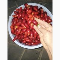 Продам плоди кизилу
